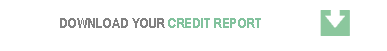 Credit Report Sorenco